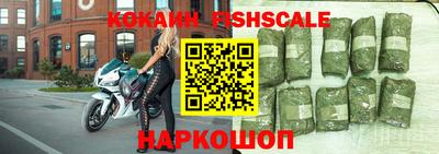 индика Усть-Джегута