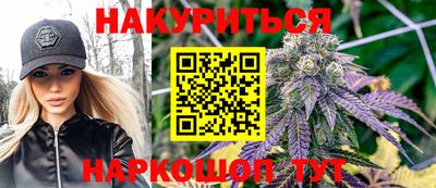 индика Усть-Джегута