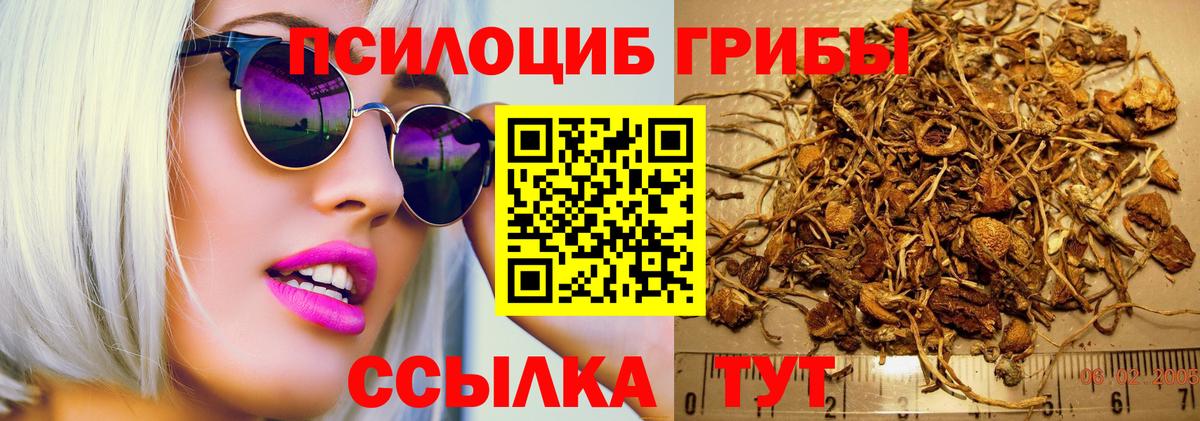 МЕТАДОН Черногорск