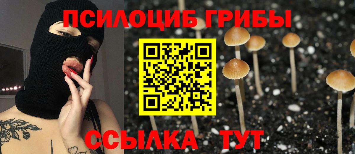 Псилоцибиновые грибы мицелий Черногорск